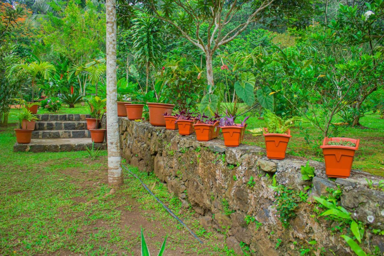 Welfare Agroturismo Milagrosa Dış mekan fotoğraf